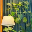 설리번베이커리카페 | 당산역 카페 추천, 카페설리번 당산점 내돈내산 후기