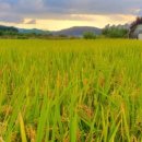 덕치리 마을회관 이미지