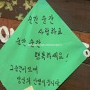 7월일상(1)/ 아프지마 험티덤티