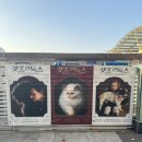 캣츠앤 | [전시] 여의도 벙커에서 만난 특별한 문명, 《캣츠 앤 독스》 전시 후기(11/23)