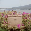 야미(YUMMY) 이미지