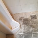 백송화장실 이미지