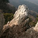 수리산 산림욕장 이미지