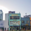 베이비몽송파점애견분양미용호텔 | 포메라니안분양가격 비교해 보자