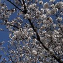 벡스 휘트니스 이미지