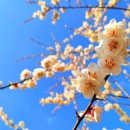 구룡체육관로 이미지