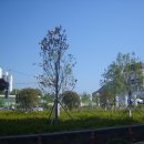 장자산체육공원 이미지