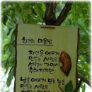신독