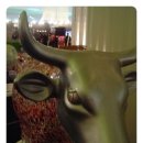 행복한우리소 이미지