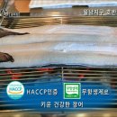 솔바우주유소