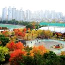 너른공원 게이트볼장 이미지