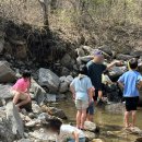 유명산 라온캠핑장 이미지