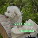 성남 : 금곡 | 미금 가볼만한 곳 분당 반려견 동반 카페 복합문화공간 서클