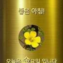 연시맘빠