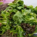 농장이야기 이미지