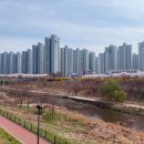 꽃다지 맞은편 네이버블로그