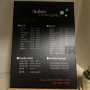 오드리4.6 네이버블로그