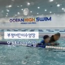 오션하이스윔 네이버블로그