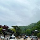 려금요 이미지