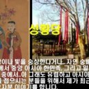 신성이용 이미지