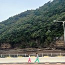 생태랑 놀아볼까 이미지