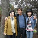 행주초등학교 이미지