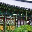 광덕사 일대 이미지