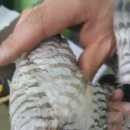 거북이당구장 이미지