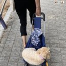 거꾸미미용실