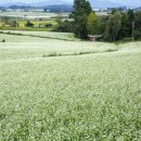 하연농장 이미지