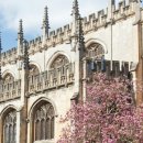 몰입과 진로 이미지