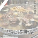[평택 맛집] 택이네 조개전골 평택법원점 내돈내산 가족외식