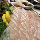 바다생협대광어 강남본점 리뷰