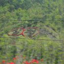 곡성 신기 구간 이미지