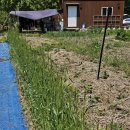 기린농장 이미지