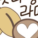 캣다방 이미지