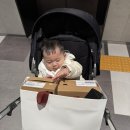 락포트신세계대전 | 2030 여자 신발 추천 쿠에른 런던로퍼 발레리나 슈즈 구매후기(예쁜 신발 고르는 꿀팁)