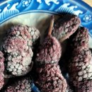 흰돌농장 이미지