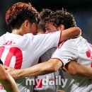 포옹베리 이미지