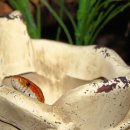 아우름 동물병원 이미지