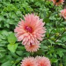 태백산 보석사우나 이미지