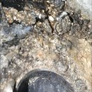 승우2차아파트 이미지