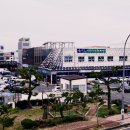 지정22 이미지