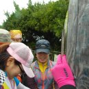 유람선선착장2 이미지