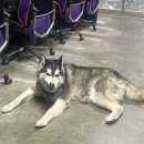 똘이PC방 이미지