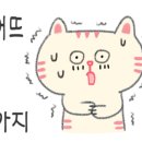 뜰안에냥 이미지