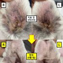 유기화동물의료센터 이미지