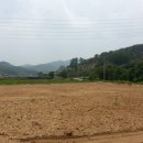 여주-1074 이미지