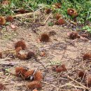 세월낚기 이미지