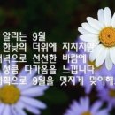 마시타 이미지